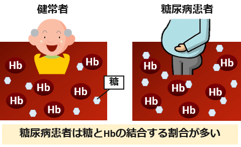 HbA1c原理